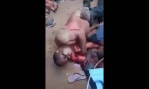 Agresseurs unis dans le sang