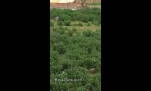 Un Mouride pris en train d'abuser une chèvre.