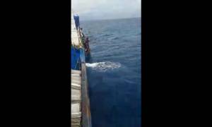 Un pêcheur mozambicain amputé par les hélices d'un bateau