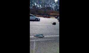 Carnage routier en Afrique du Sud