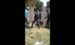 Voleur ghanéen préparé pour la cuisson