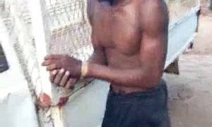 Vengeance canine sur un voleur