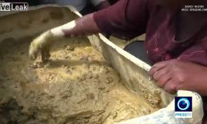 Gastronomie haïtienne